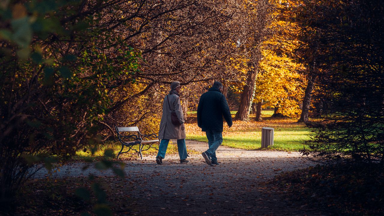 about-hero A senior couple enjoys a peaceful walk through a tree-lined path in an autumn park.